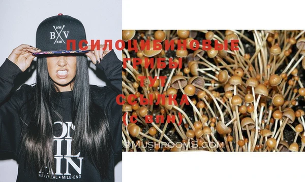 PSILOCYBIN Россошь