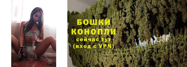 PSILOCYBIN Россошь